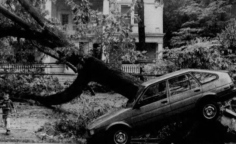 The storm on Monday, Sept. 7, 1998, uprooted dozens of trees in Central Jersey, including this one on Seventh Street in Plainfield, which took a car with it.