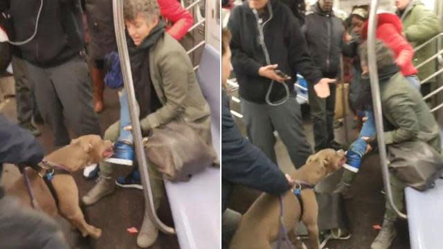 Police are investigating after a pit bull viciously attacked a woman on a New York City subway last week. Source: TahSyi Kyng/Facebook