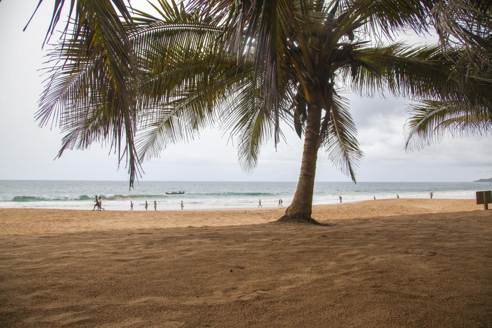 Palm tree on a beach with people and a boat in the ocean behind it in Ghana, Africa