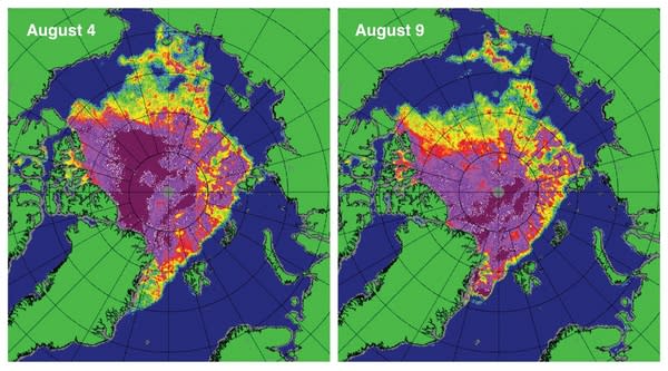 These maps of sea ice concentration from the Special Sensor Microwave Imager/Sounder (SSMIS) passive microwave sensor highlight the very rapid loss of ice in the western Arctic (northwest of Alaska) during the strong Arctic storm. Magenta and p