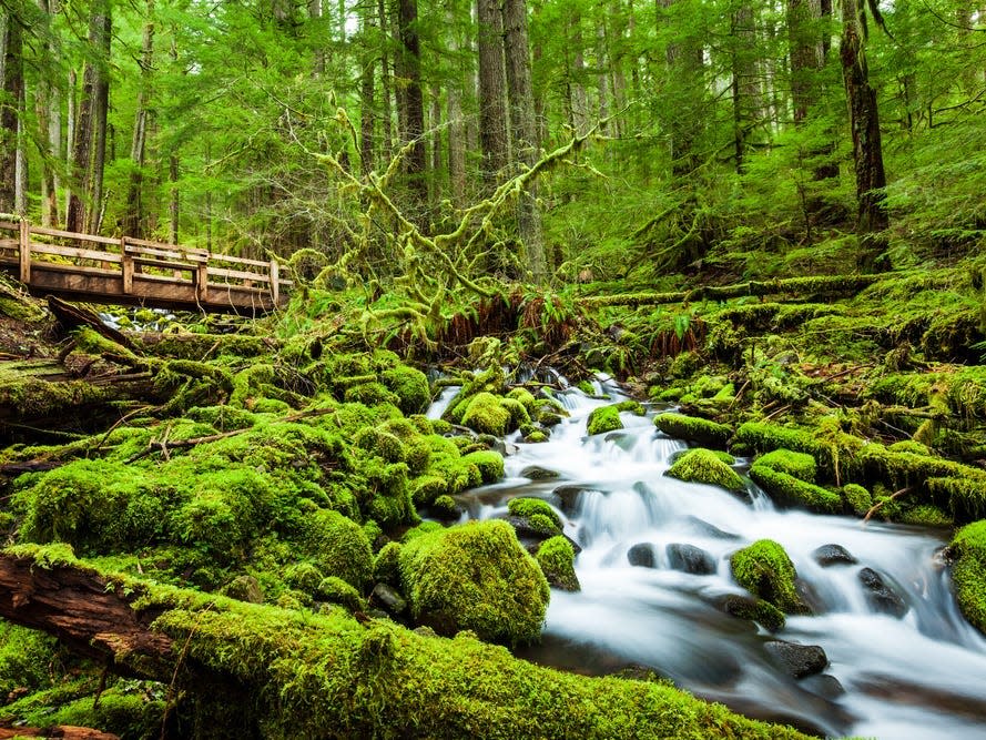 Olympic National Park Washington