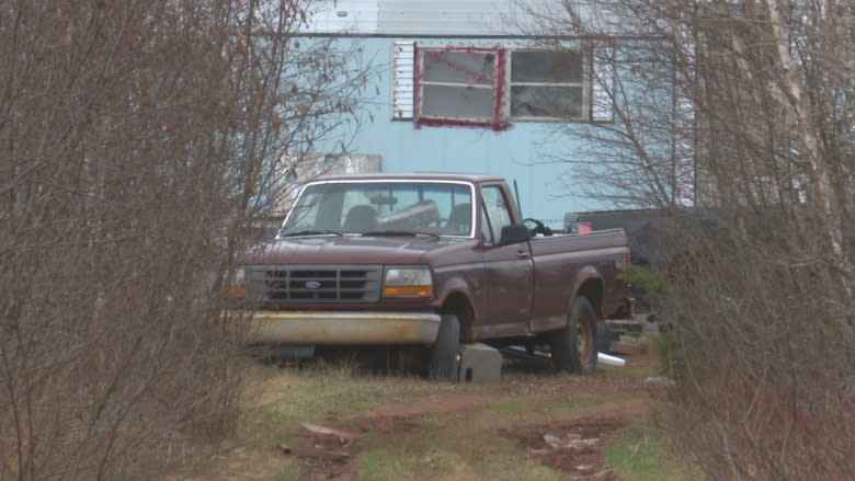 Dead hogs on Kings County property spark animal welfare investigation