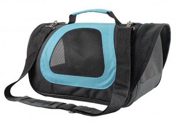 10 best cat carriers to easily transport your pet