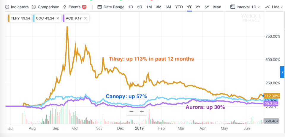 Pot stocks over the past 12 months (Yahoo Finance)