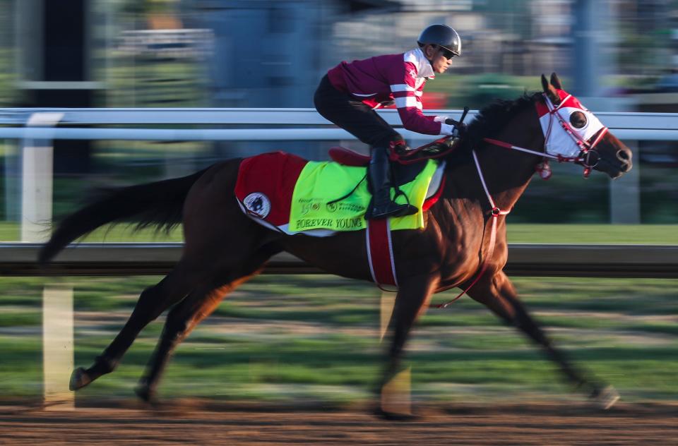 Jockey Ryusei Sakai aboard Kentucky Derby contender Forever Young of Japan Wednesday morning during a workout at Churchill Downs in Louisville, Ky. April 24, 2024 The horse is undefeated and worked six furlongs in 1:19:60. Handicapper Ed Derosa's thoughts on Forever Young, and others: https://www.courier-journal.com/story/sports/horses/kentucky-derby/2024/04/23/kentucky-derby-betting-strategy-horses-expert-picks-fierceness-forever-young/73138296007/#gnt-frnt=KD_Main