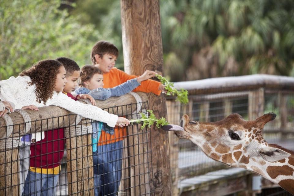 These zoo exhibits get top marks for their innovation