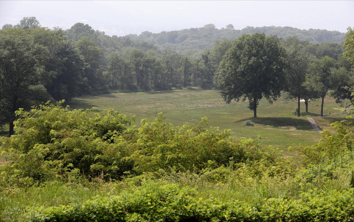 A view of a meadow where housing for actors will be built at the Hudson Valley Shakespeare Festival in Garrison, pictured June 29, 2023. They have plans for the new permanent home for the festival, and the $10 million state grant announced this spring by Gov. Kathy Hochul that will make it a reality.