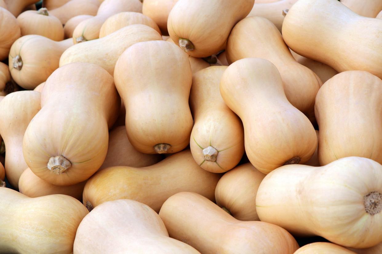 Lots of pumpkins Butternut Squash