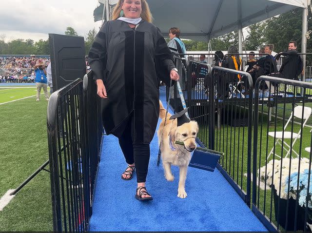 <p>Courtesy of Scotch Plains-Fanwood Public Schools</p> Spiffy the golden retriever therapy dog walking with his diploma on a stick at the 2023 graduation ceremony for Scotch Plains-Fanwood High School