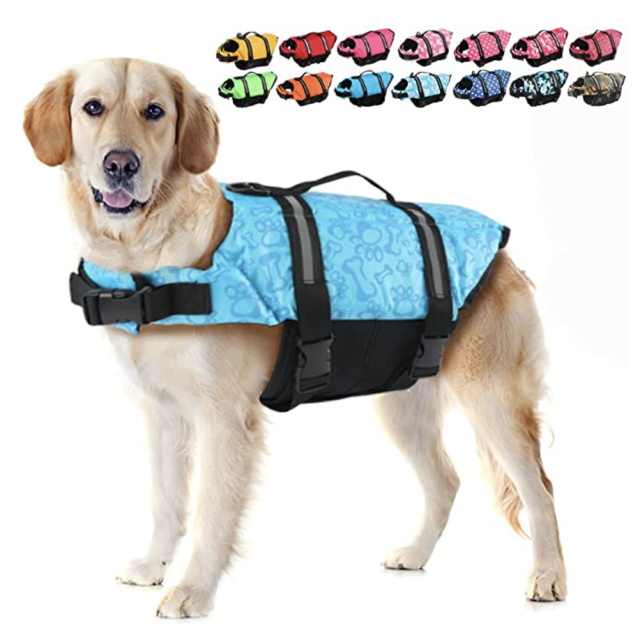 dachshund life jacket amazon