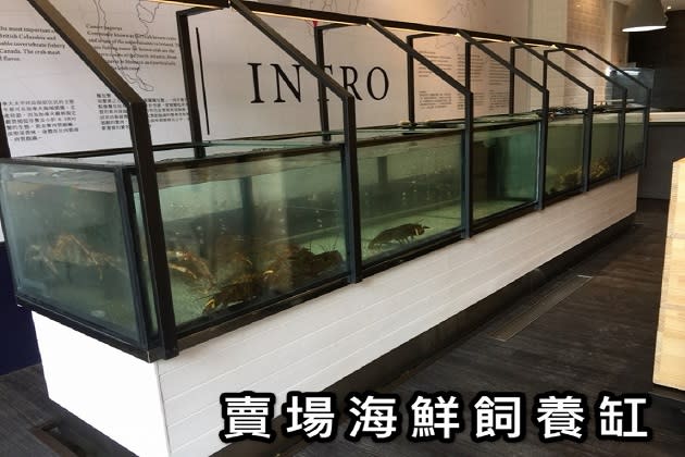 上新魚缸提供