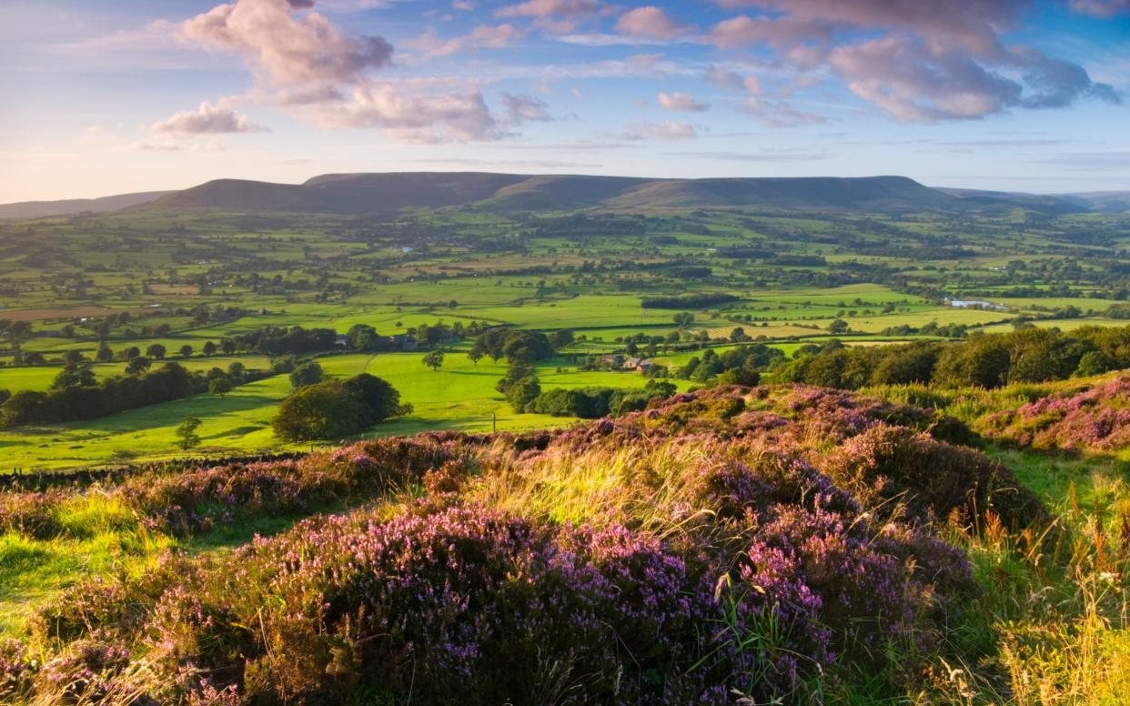 The driest and brighter conditions are expected in the west  - Getty Images Contributor