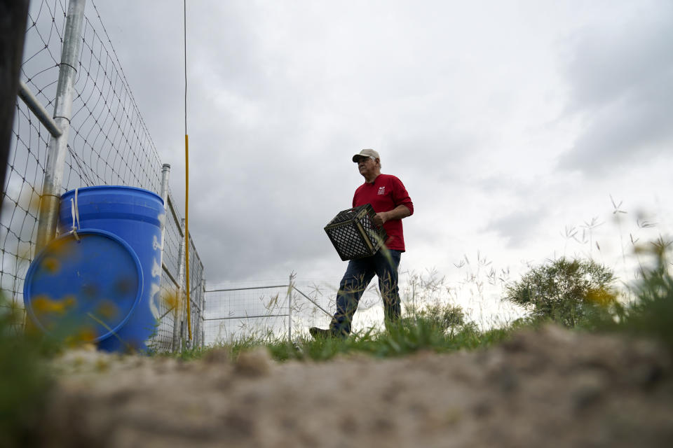 Migrant rights activist Eduardo Canales carries jugs of water to a blue water drop Saturday, May 15, 2021, in Falfurrias, Texas. Every week, Canales fills up blue water drums that are spread throughout a vast valley of Texas ranchlands and brush. They are there for migrants who venture into the rough terrain to avoid being caught and sent back to Mexico. (AP Photo/Gregory Bull)