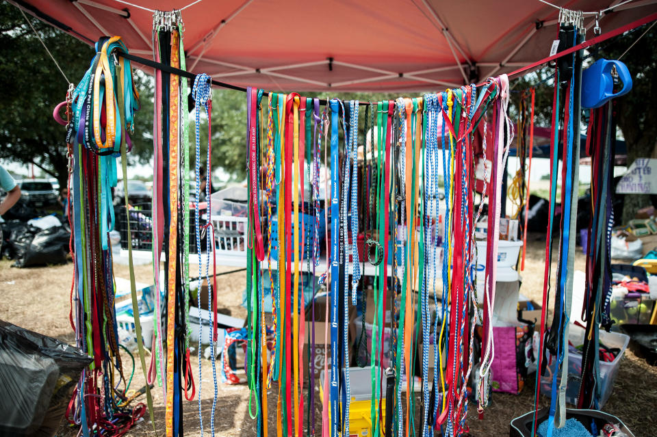 Donated leashes in Katy, Texas, on Sunday. (Photo: Joseph Rushmore for HuffPost)