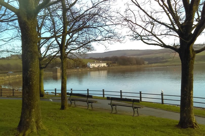 The girl was subjected to the horrifying attack at Hollingworth Lake in Rochdale (reach)