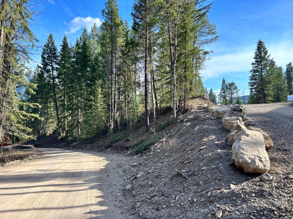 trees and dirt path between properties