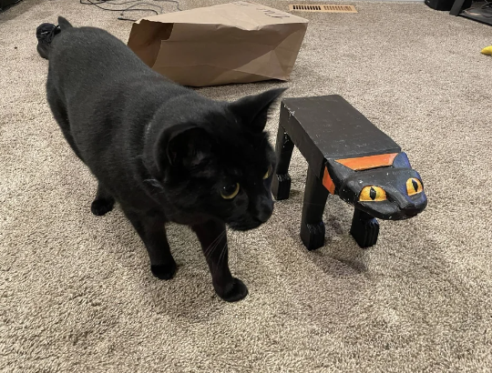 A black cat next to a flat cat