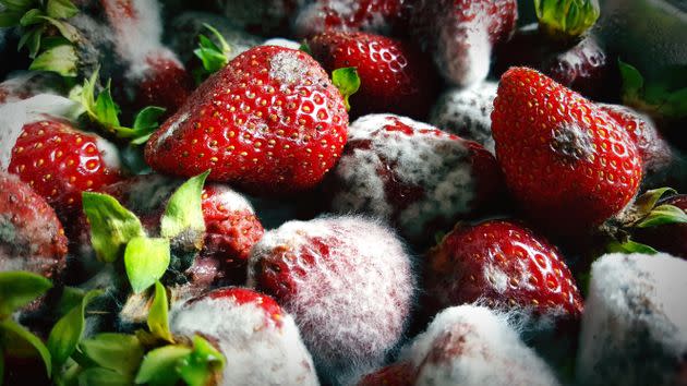 These moldy strawberries may be beyond saving.
