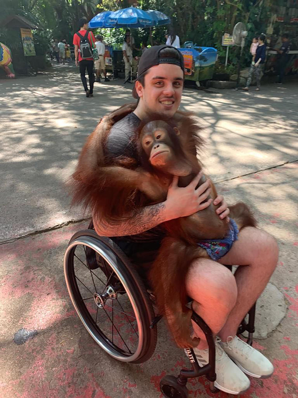 This photo provided by Tom Straschnitzki shows Ryan Straschnitzki as he plays with an orangutan during a visit to the Safari World zoo in Bangkok, Thailand, Sunday, Dec. 1, 2019. Ryan was left paralyzed from the chest down after the bus carrying his Humboldt Broncos hockey team collided with a truck at a rural intersection in Canada 17 months ago. The former hockey prospect went to Thailand to have a stimulator implanted in his back so electrical currents can communicate with his nerves. He took his first small steps and hopes for a better life. (Tom Straschnitzki/ via AP)