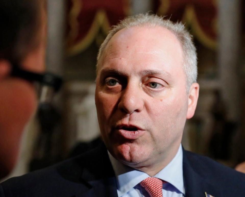 House Minority Whip Steve Scalise, R-La.