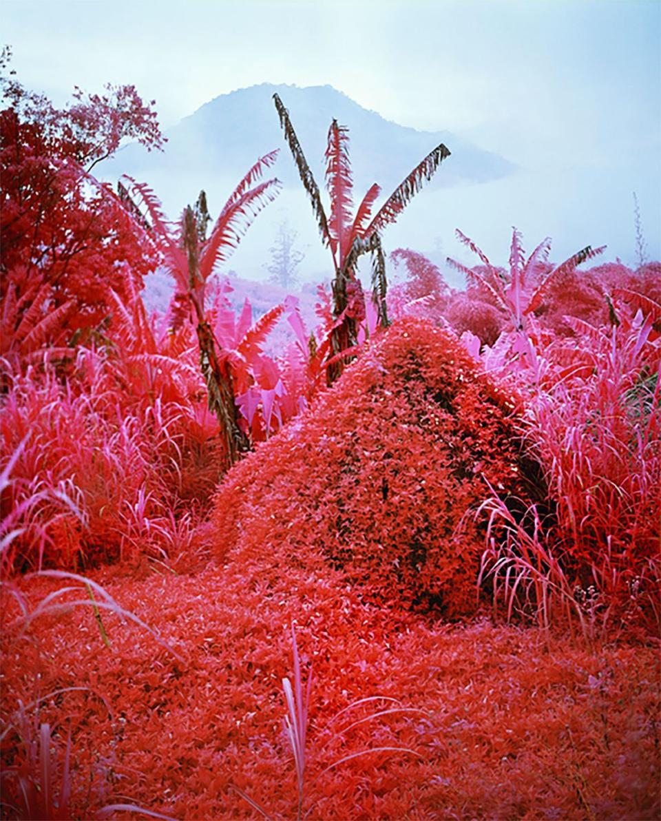 <p>At first, this just seems like a beautiful image. But there’s a substantive layer to his photographs, which are often about war.</p><p><a class="link " href="https://www.artsy.net/artwork/richard-mosse-quiet-storm" rel="nofollow noopener" target="_blank" data-ylk="slk:Shop Similar;elm:context_link;itc:0;sec:content-canvas">Shop Similar</a></p>