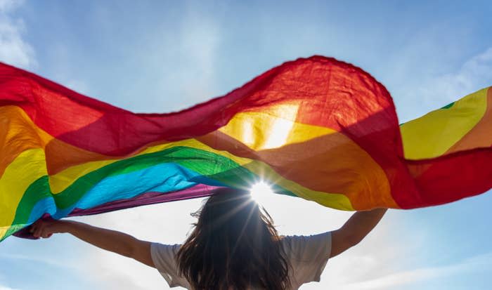 a person holding a rainbow flag