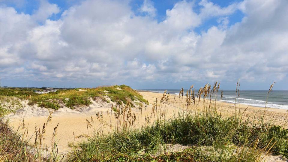 A pristine beach and dunes at Outer Banks, North Carolina