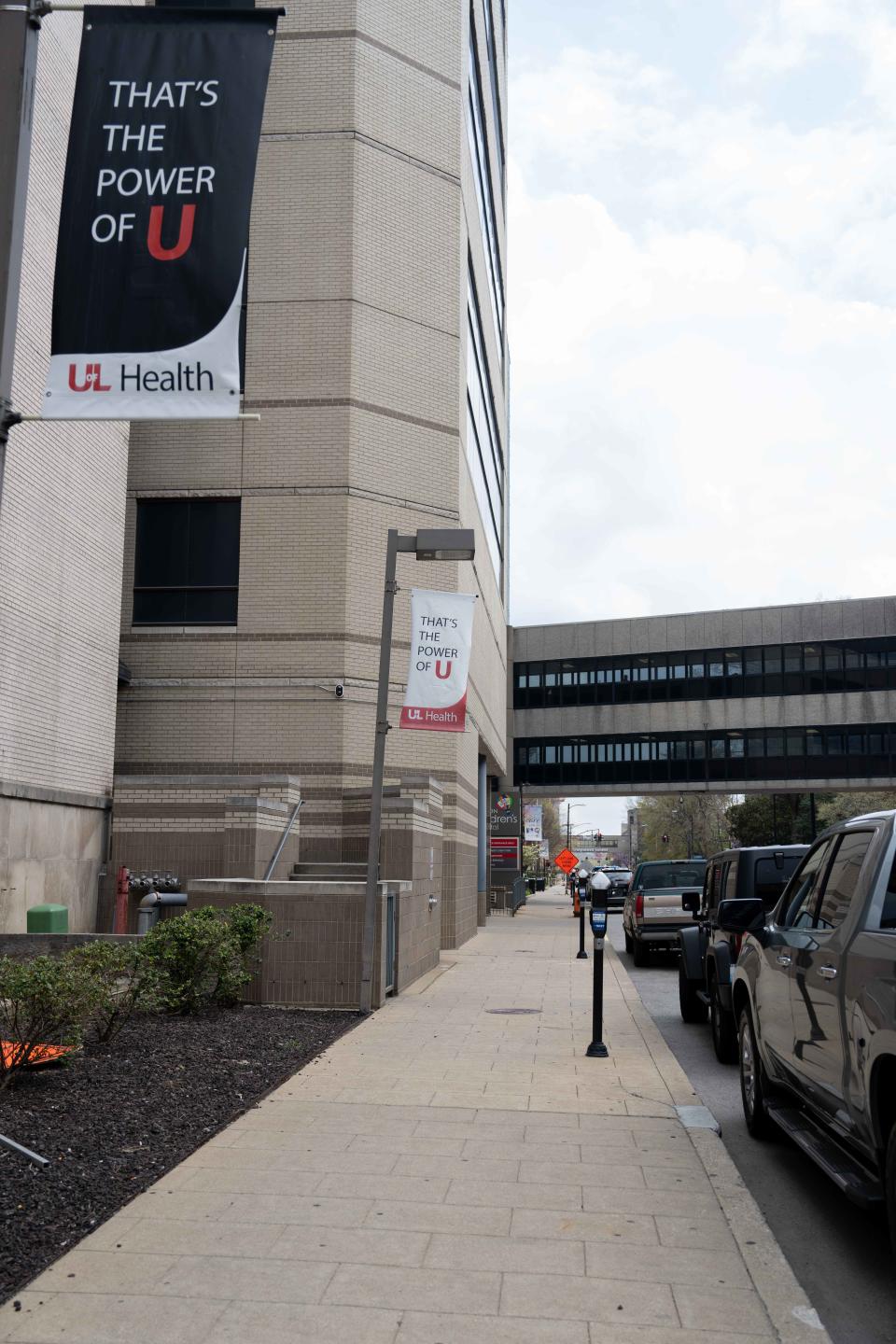 LOUMED, a medical and education district, spans 22-city blocks in downtown Louisville, encompassing much of Chestnut Street.