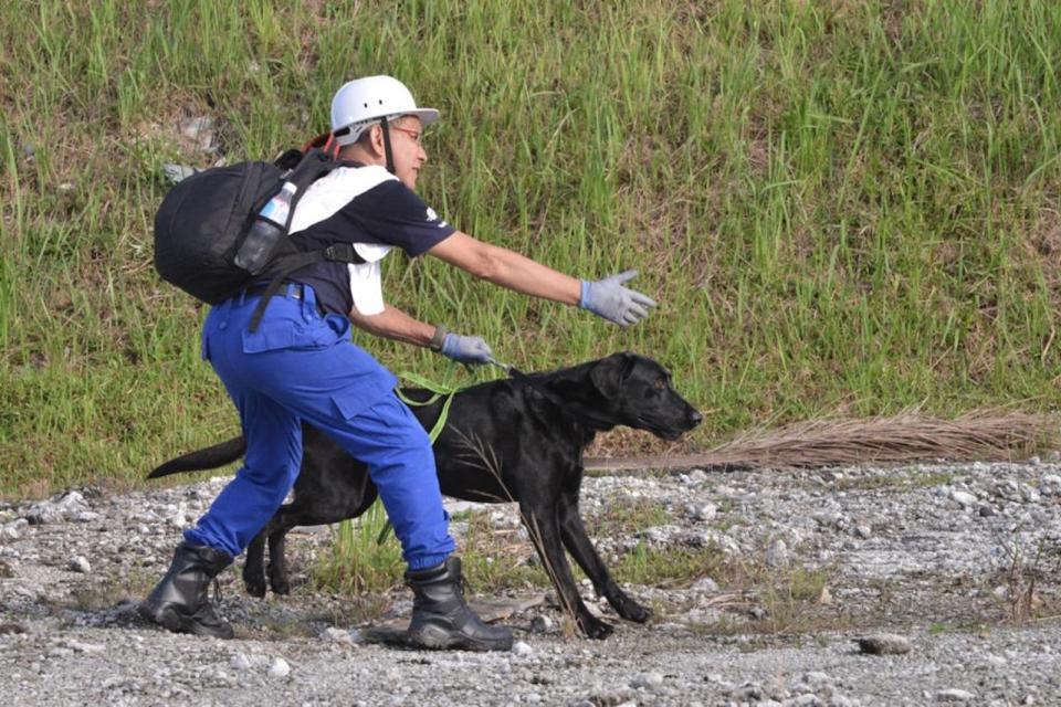 A man in white and blue uniform directing a black search and rescue dog at work