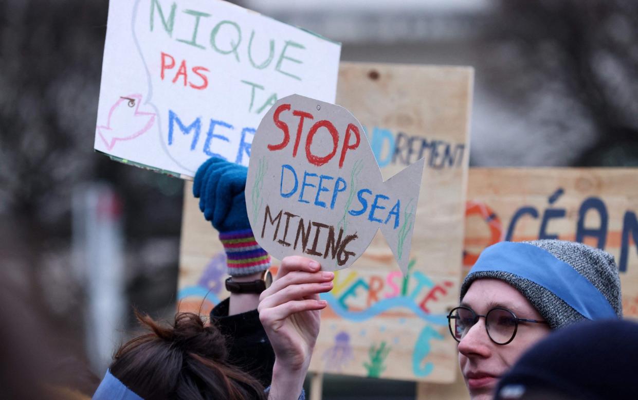 Green activists against Norway's plans protest outside the European Parliament despite it calling for the practice to be banned