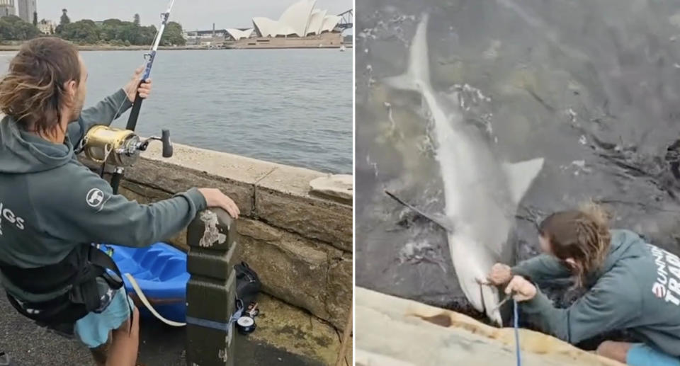 Jordan standing on the banks of Sydney Harbour trying to reel in the shark (left) and Jordan on the rocks below trying to bull the hook from the shark's mouth (right).