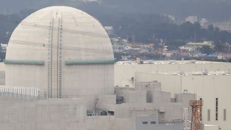 The Shin Kori No. 3 reactor of state-run utility Korea Electric Power Corp (KEPCO) is seen in Ulsan, about 410 km (255 miles) southeast of Seoul in this September 3, 2013 file photo. REUTERS/Lee Jae-Won/Files