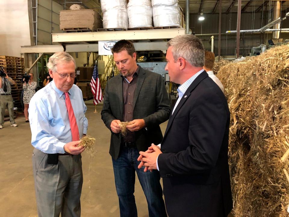 FILE - In a Thursday, July 5, 2018 file photo, Senate Majority Leader Mitch McConnell, left, inspects a piece of hemp taken from a bale of hemp at a processing plant in Louisville, Ky. McConnell has guaranteed that his proposal to make hemp a legal agricultural commodity, removing it from the federal list of controlled substances, will be part of the final farm bill.