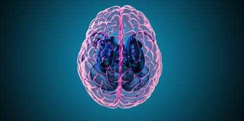 <span class="caption">It's time to snap out of bad habits.</span> <span class="attribution"><a class="link " href="https://www.shutterstock.com/image-illustration/3d-rendering-illustration-human-brain-left-1675732021" rel="nofollow noopener" target="_blank" data-ylk="slk:Jolygon/Shutterstock;elm:context_link;itc:0;sec:content-canvas">Jolygon/Shutterstock</a>, <a class="link " href="http://creativecommons.org/licenses/by-sa/4.0/" rel="nofollow noopener" target="_blank" data-ylk="slk:CC BY-SA;elm:context_link;itc:0;sec:content-canvas">CC BY-SA</a></span>