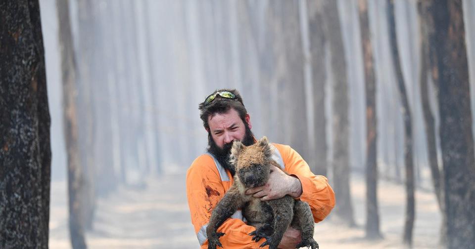 The Most Heartbreaking Photos of the Devastating Australian Wildfires