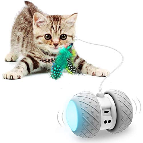 Interactive Robotic Cat Toys,Automatic Irregular USB Charging 360 Degree Self Rotating Ball,Automatic Feathers/Birds/Mouse Toys for Cats/Kitten,Build-in Spinning Led Light,Large Capacity Battery (Amazon / Amazon)
