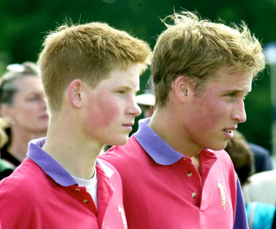 Harry (left) aged 16 (Getty Images)