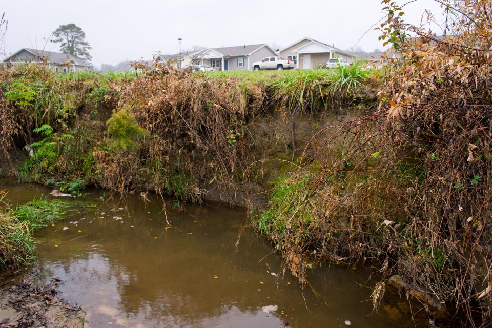 This is what the stream in Dodd Meadows looked like before the restoration.