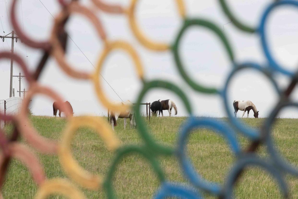 Horseshoes painted in the colors of a rainbow frame some of the horses grazing in the pastures June 18 at Rainbow Meadows Equine Rescue and Retirement LLC outside of Junction City.