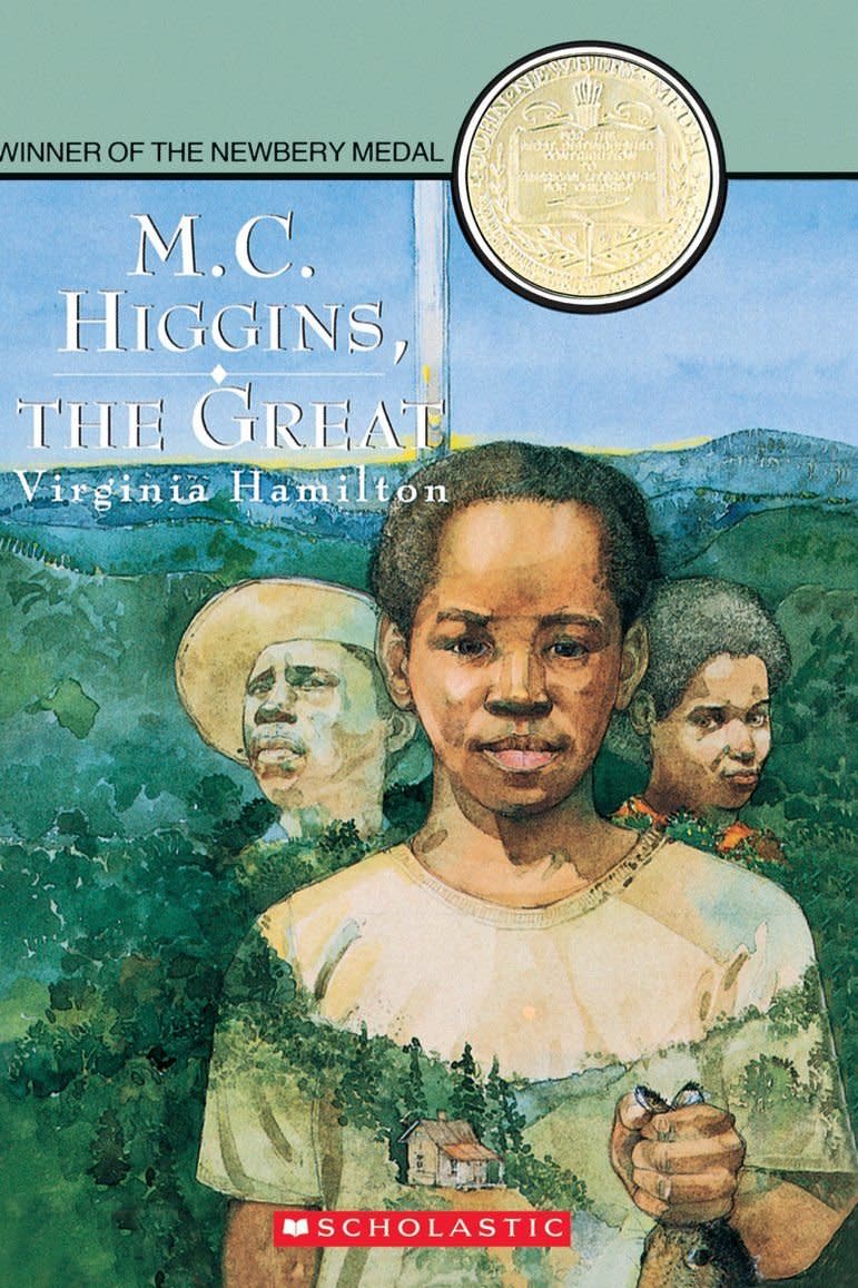 M. C. Higgins, the Great by Virginia Hamilton