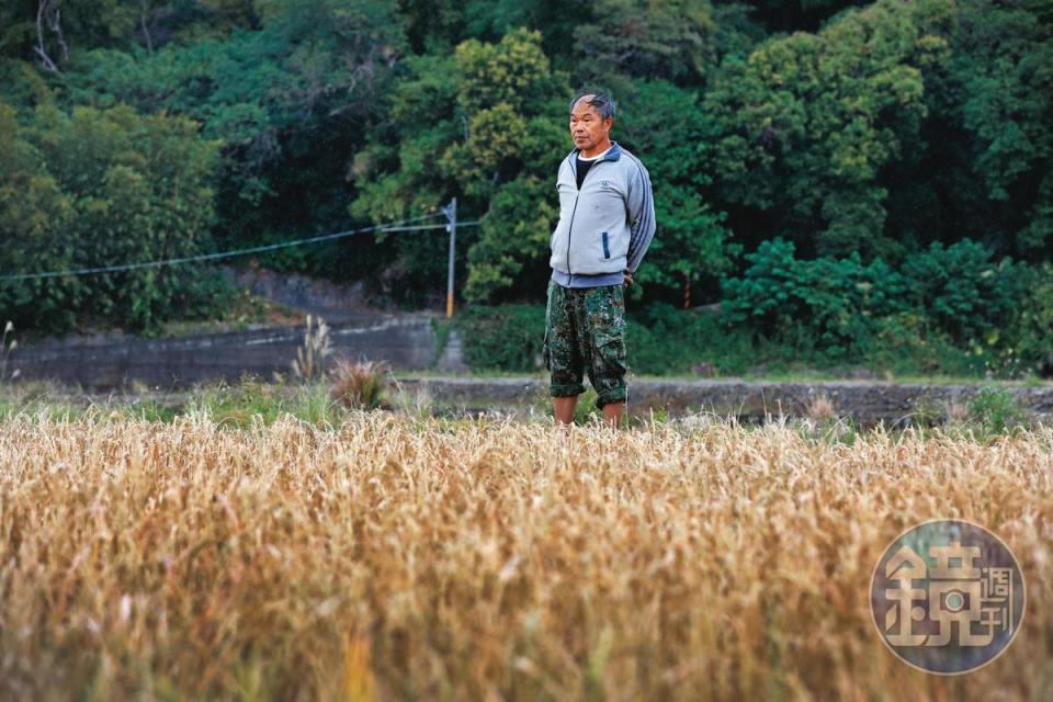 田守喜的祖父為他起名，希望他歡喜守住祖先開墾留下的田，但幾十年來，他的田從被徵收到被斷水，讓他開始覺得種田已經不再穩當可靠。