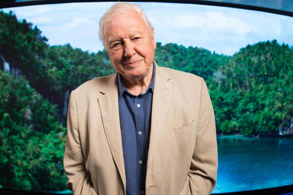 <p>Sir David Attenborough</p> (PA)