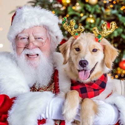 Santa and a reindeer-costumed retriever pose in this promotional image from Simon Group.