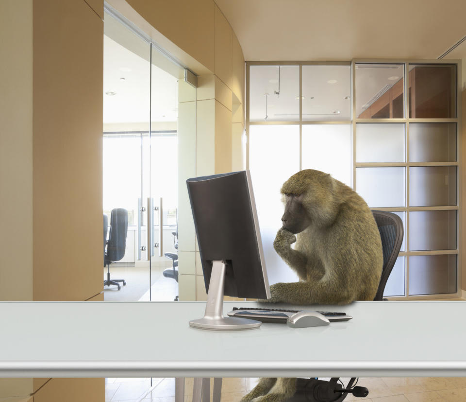 Niemand wolle als "coding monkey" engagiert werden, sagt der Chef-Personaler. - Copyright: John M Lund Photography Inc via Getty Images