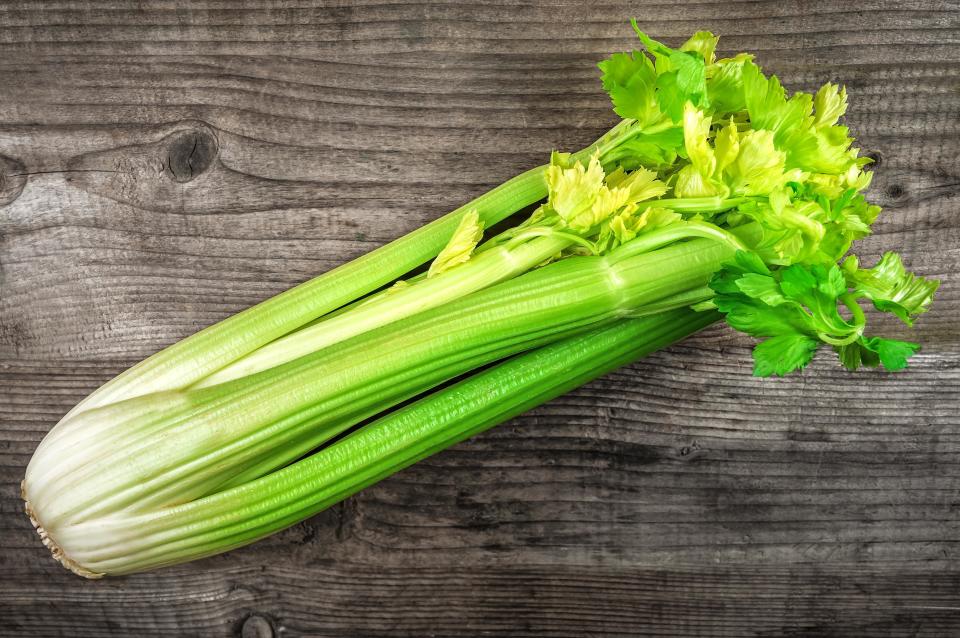 <p>Best known as a snack or as a vehicle for your favorite dips, celery is in season beginning in the late summer and through the early part of fall. Eat it on its own, as the base of <a href="https://www.thedailymeal.com/best-recipes/ants-on-log-recipe-celery-peanut-butter-snack?referrer=yahoo&category=beauty_food&include_utm=1&utm_medium=referral&utm_source=yahoo&utm_campaign=feed" rel="nofollow noopener" target="_blank" data-ylk="slk:ants on a log;elm:context_link;itc:0;sec:content-canvas" class="link ">ants on a log</a>, or make some <a href="https://www.thedailymeal.com/recipes/cucumber-celery-agua-fresca-recipe?referrer=yahoo&category=beauty_food&include_utm=1&utm_medium=referral&utm_source=yahoo&utm_campaign=feed" rel="nofollow noopener" target="_blank" data-ylk="slk:seriously refreshing agua fresca;elm:context_link;itc:0;sec:content-canvas" class="link ">seriously refreshing agua fresca</a>. Celery may feel like a spring or summer nosh, but it’s an integral ingredient in one veggie-loaded <a href="https://www.thedailymeal.com/cook/every-thanksgiving-side-dish-youll-ever-need-gallery?referrer=yahoo&category=beauty_food&include_utm=1&utm_medium=referral&utm_source=yahoo&utm_campaign=feed" rel="nofollow noopener" target="_blank" data-ylk="slk:holiday classic side dish;elm:context_link;itc:0;sec:content-canvas" class="link ">holiday classic side dish</a>: <a href="https://www.thedailymeal.com/recipes/classic-herb-stuffing-recipe?referrer=yahoo&category=beauty_food&include_utm=1&utm_medium=referral&utm_source=yahoo&utm_campaign=feed" rel="nofollow noopener" target="_blank" data-ylk="slk:stuffing;elm:context_link;itc:0;sec:content-canvas" class="link ">stuffing</a>.</p>