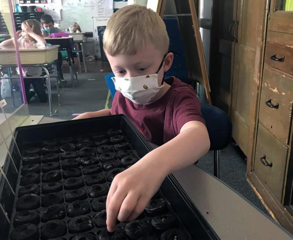 Hollis Magee examines seeds his class planted for the Maple Street Magnet School community garden, which is cared for by students, staff, families, and the surrounding community.