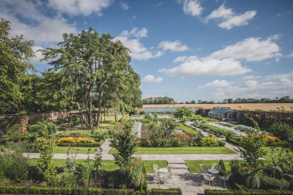 Extensive kitchen gardens at Moor Hall (Moor Hall)