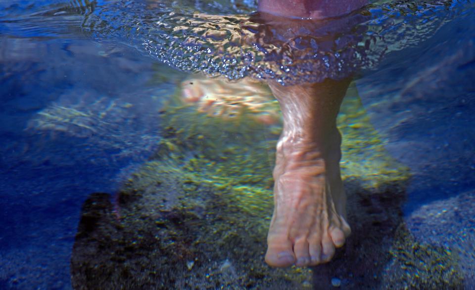 Visitors to Warm Mineral Springs Park, like Kenli Couppee, of Milwaukee, can see what the springs is all about and even toe test the water. Warm Mineral Springs Park is at 12200 San Servando Ave, in North Port.