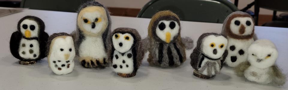 Make an owl out of felted wool at Audubon's Feb. 18 workshop at the Caratunk refuge.