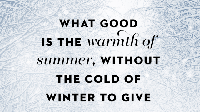 42 Cute Winter Quotes Perfect for Cozy Season